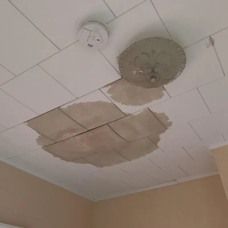 Ceiling Water Damage Repair in Silver Grove, KY