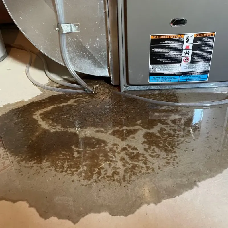 Pipe Burst and Leak Restoration in Silver Grove, KY